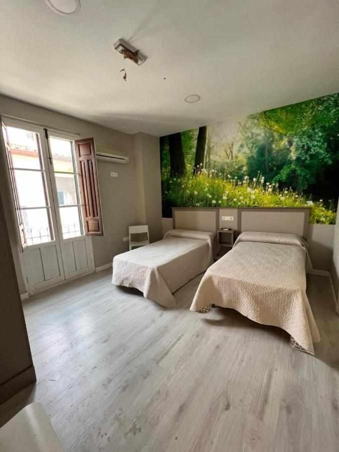 Hostal Viena Plaza Nueva グラナダ エクステリア 写真